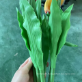 Tulip Artificial Flower Light